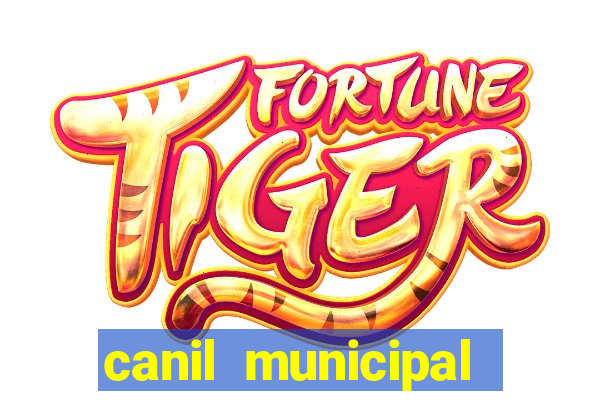 canil municipal porto alegre